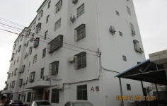 在什么情况下需要进行房屋安全鉴定？